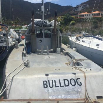 Tug Bull Dog