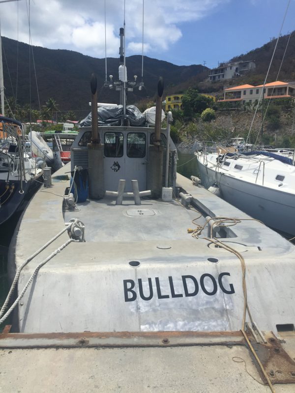 Tug Bull Dog